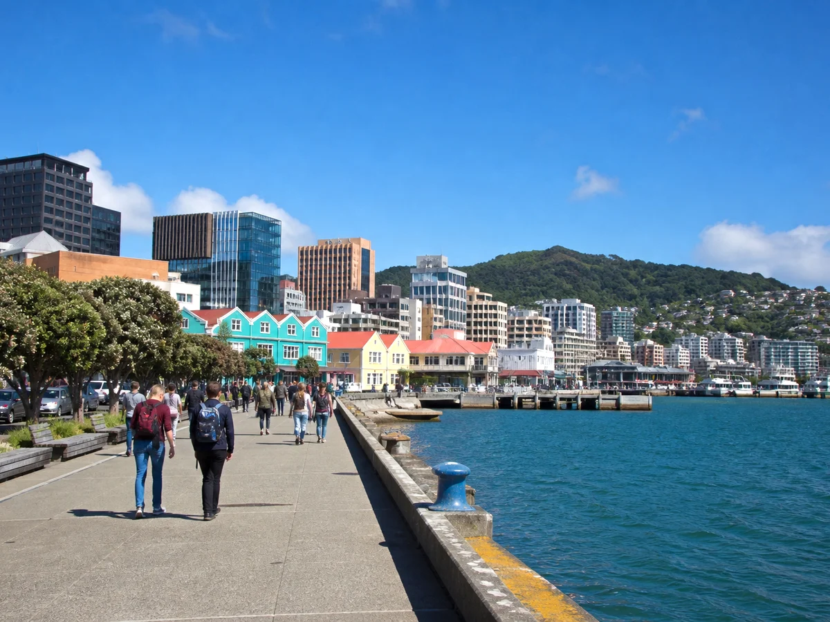 Full stack development for New Zealand government services
