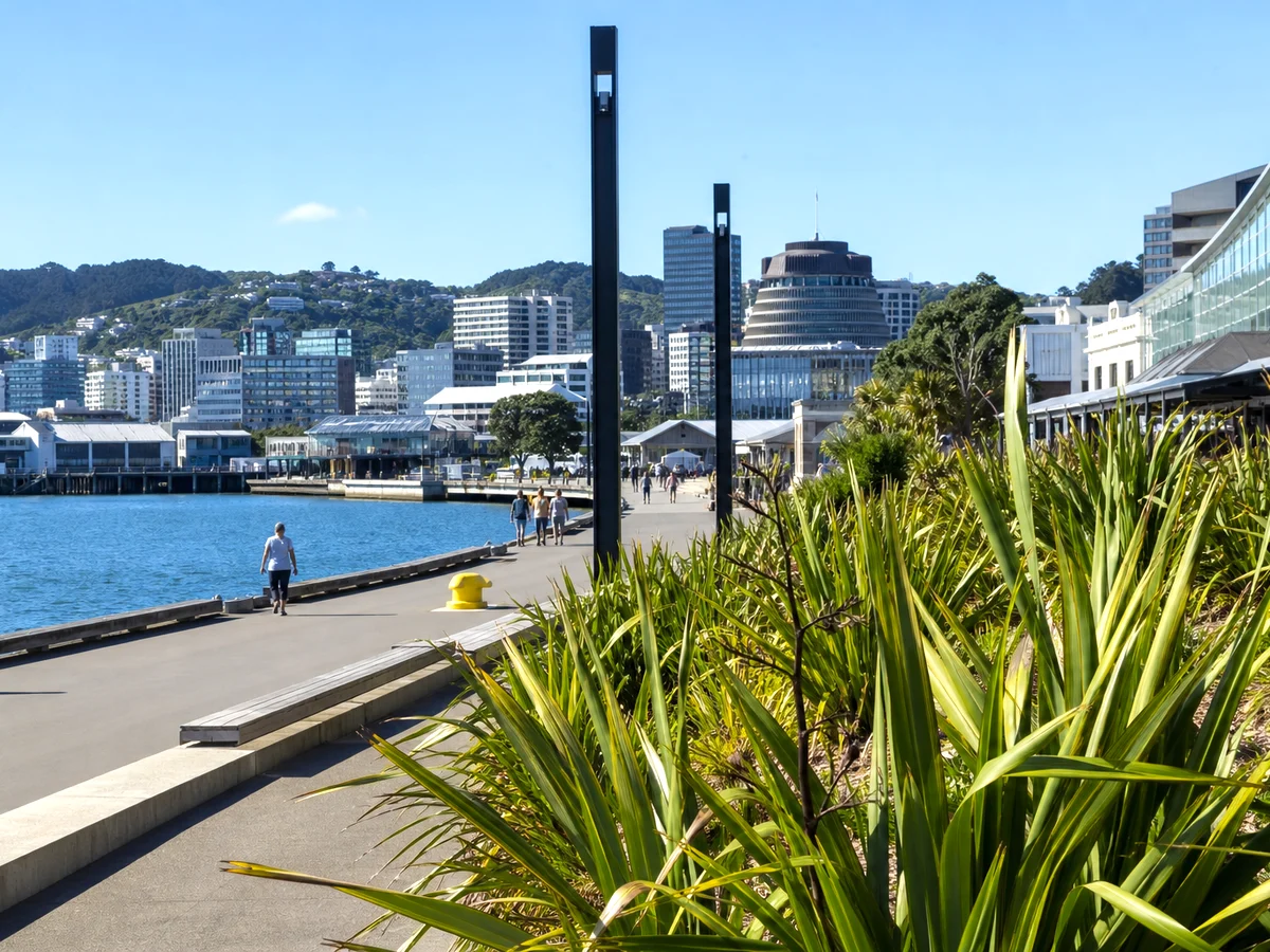New Zealand regulatory compliance for Python development